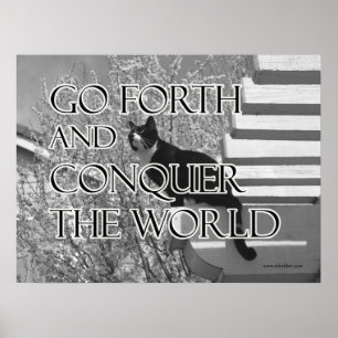 Forth und Equer Motivierend Cat Poster