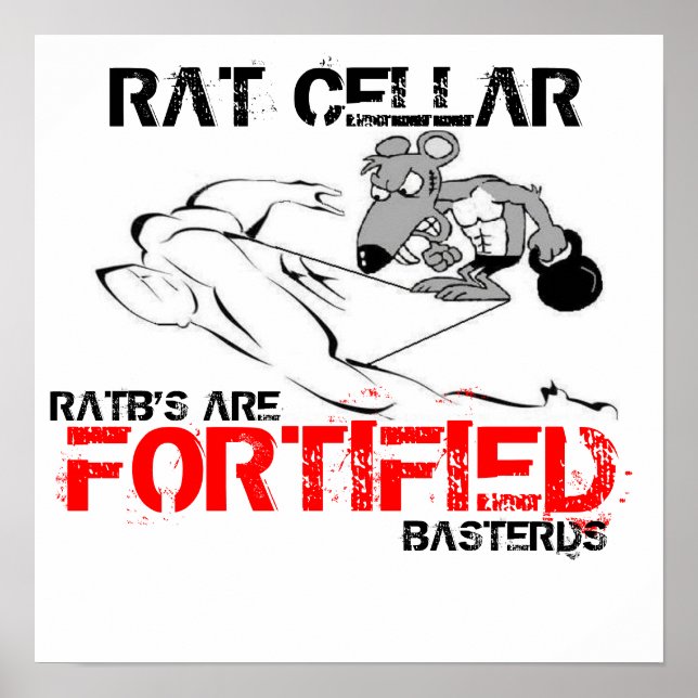 FORTIFIZIERTER POSTER (Vorne)