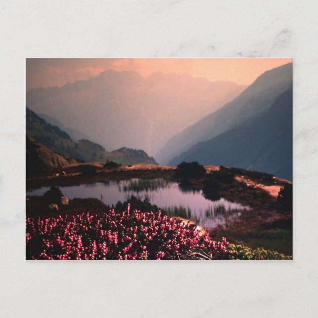 FORTSCHRITT POSTKARTE (Vorderseite)