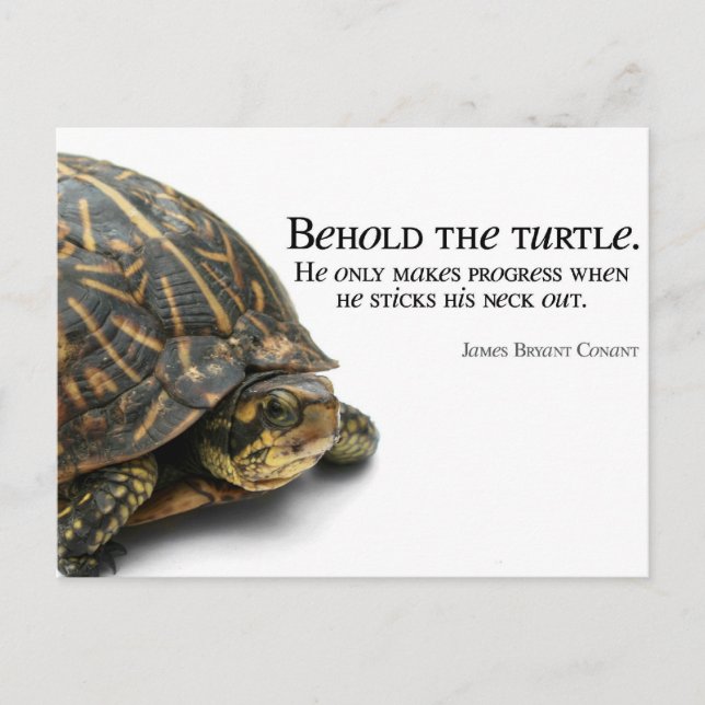 Fortschritte Postkarte (Vorderseite)