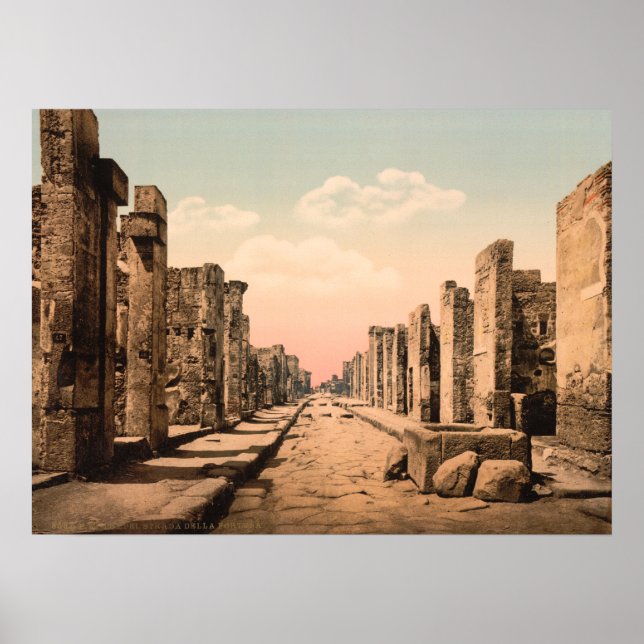 Fortuna Street, Pompeii, Kampanien, Italien Poster (Vorne)