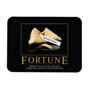 Fortune Motivierend Parody-Magnete Magnet