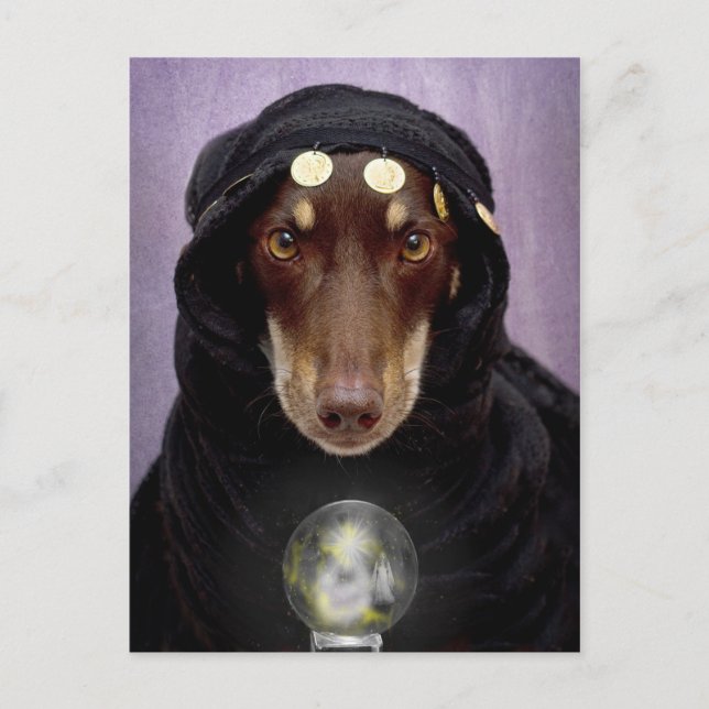 Fortune Teller Postkarte (Vorderseite)