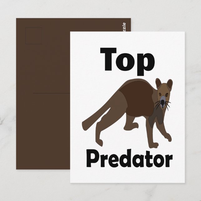 Fossa Madagaskar Fleischfresser Top-Räuber Postkarte (Vorne/Hinten)