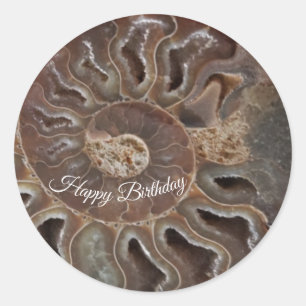 Fossil Ammonite Muschel Happy Birthday Sticker