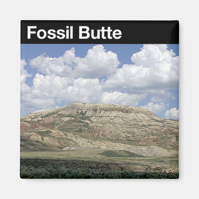 Fossil Butte National Monument Magnet (Vorne)