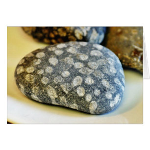 Fossil-Felsen korallenrot