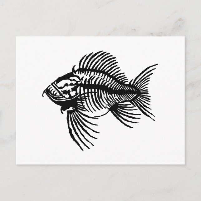 Fossil Fish Postkarte (Vorderseite)