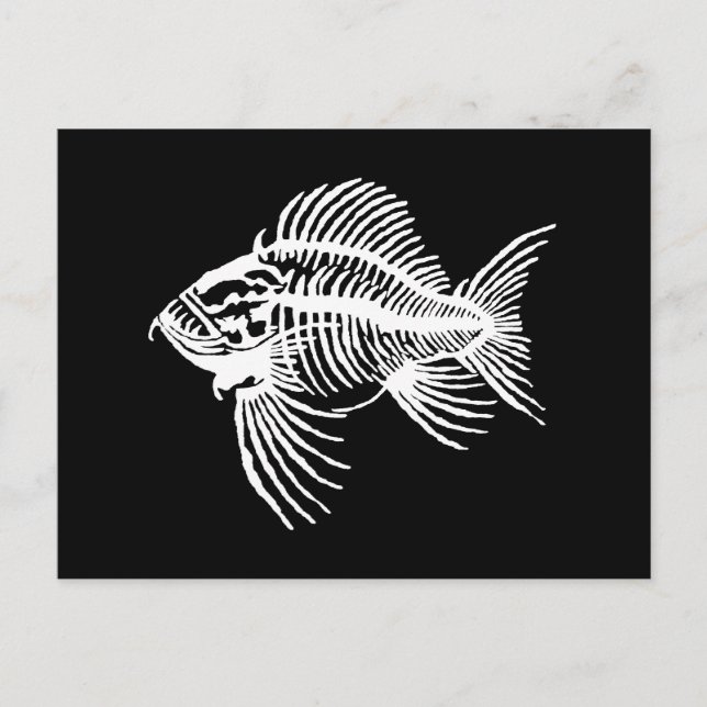 Fossil Fish Postkarte (Vorderseite)