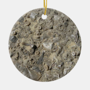 Fossil Hash Rock Print Keramikornament