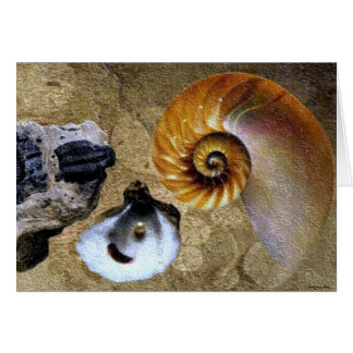 Fossil Karte