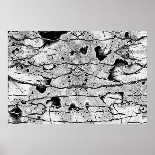 Fossil Poster (Vorne)