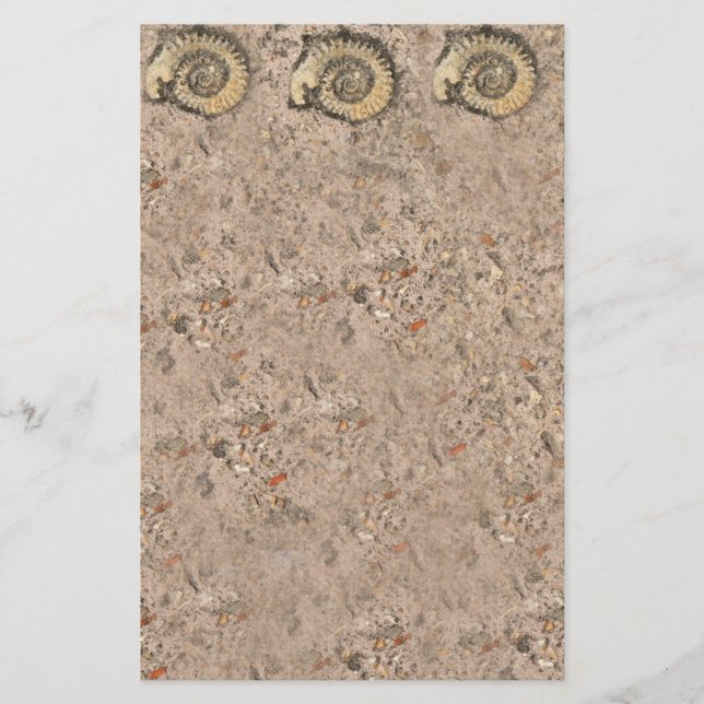 Fossile Stationierung Briefpapier (Vorderseite)