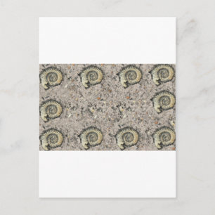 fossiler Hintergrund Postkarte