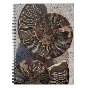 Fossilien-Ammonit-Notebook Notizblock