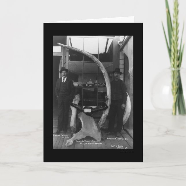 Fossilien gefunden in Yukon-Territorium 1888 Karte (Vorderseite)