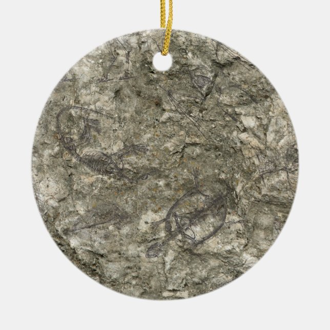 Fossilien Keramik Ornament (Vorne)