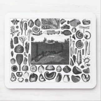 FOSSILIEN MOUSEPAD
