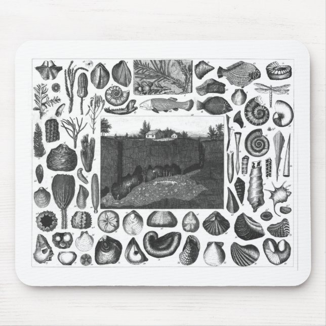 FOSSILIEN MOUSEPAD (Vorne)