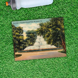 Fossilienmuseum Monte San Giorgio Postkarte