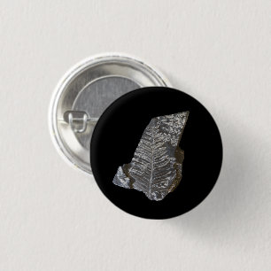 Fossilisierte Fern-Blätter Rock Nature Fotografy Button