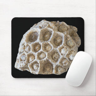 Fossilisierte Korallenrock-Naturfotografie Mousepad