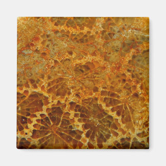 Fossilisierte natürliche Jaspergemone Magnet