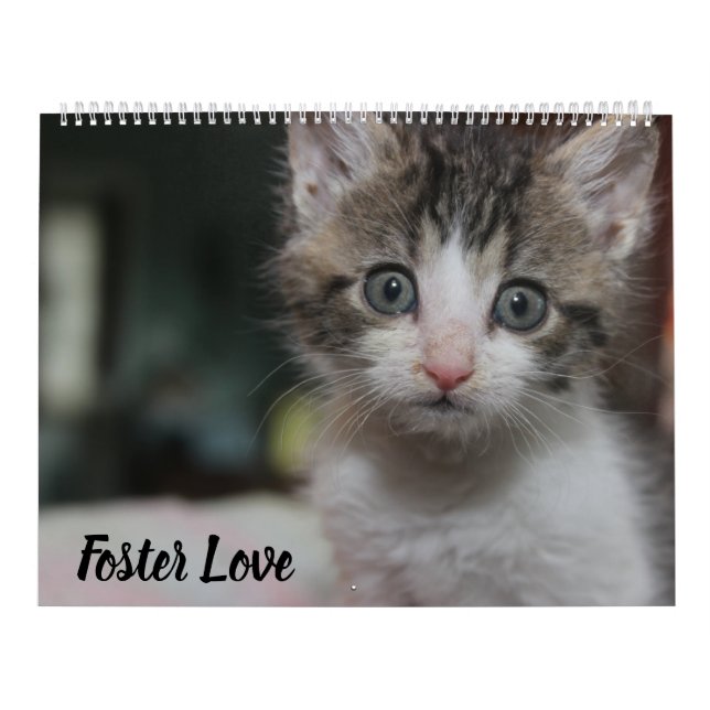 FOSTER LOVE KALENDER (Titelbild)
