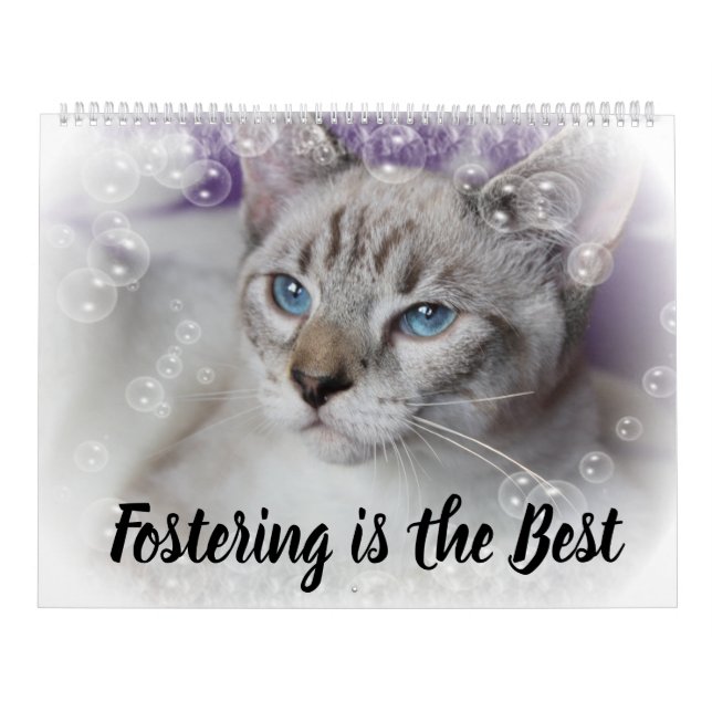 FOSTERING KITTENS IS THE BEST KALENDER (Titelbild)