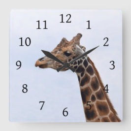 Foto 106 Giraffe Quadratische Wanduhr