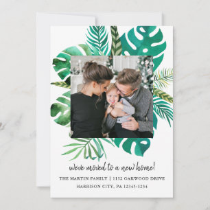 Foto "Adresswechsel in tropischen Blätter" Ankündigung