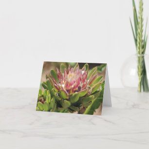 Foto "Artichoke Blume" - Notizkarte