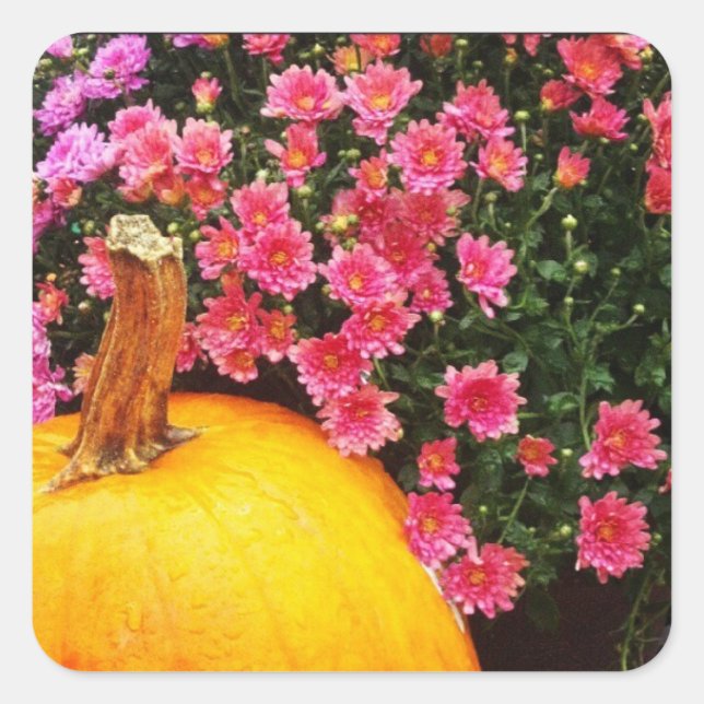 Foto-Aufkleber Quadratischer Aufkleber (Vorderseite)