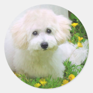 Foto-Aufkleber Runder Aufkleber