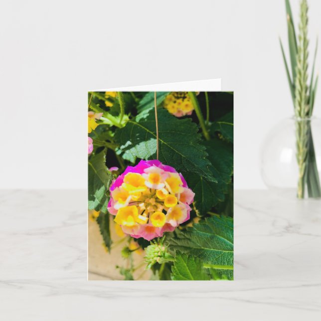 Foto aus gelber und rosa Blume Karte (Vorderseite)