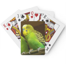 Foto aus grünem und gelbem Paraket