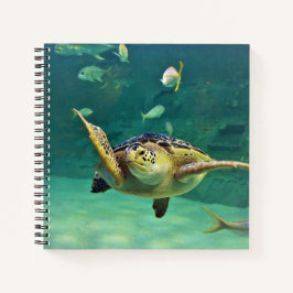 Foto aus Schildkrötenmeer Notizbuch