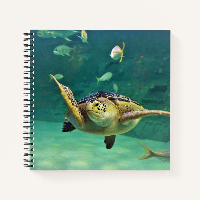 Foto aus Schildkrötenmeer Notizbuch (Vorderseite)