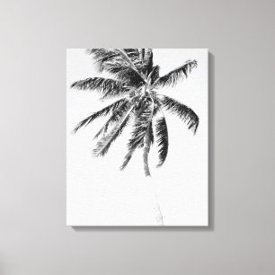 Foto aus schwarz-weißer Palme Leinwanddruck