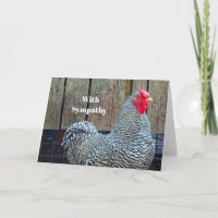 Foto-Beileid für Hühnerschwarz und Weiß