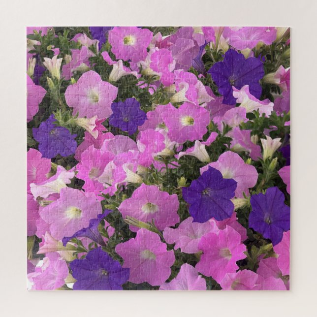 Foto Bild der Morgenglorie Rosa und violette Blume Puzzle (Vertikal)