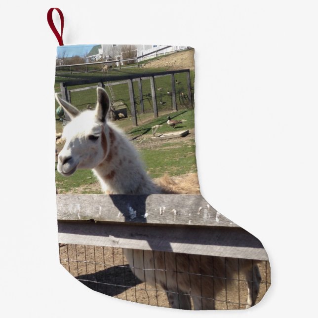Foto-Bild Lama Alpaca Kleiner Weihnachtsstrumpf (Vorderseite)