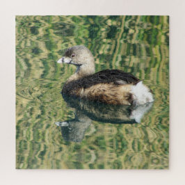 Foto Bird Little Grebe Water Reflection Nature Puzzle
