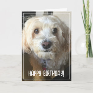 Foto Birthday Card Karte