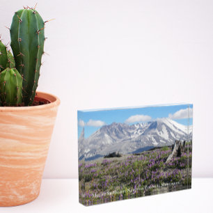 Foto-Block der St Helens-Wildblumen Fotoblock