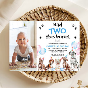 Foto Blue Bad Two The Bone Hunde 2. Geburtstag Einladung