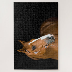 Foto Braunes Weißes Quarter Horse Schwarz Puzzle