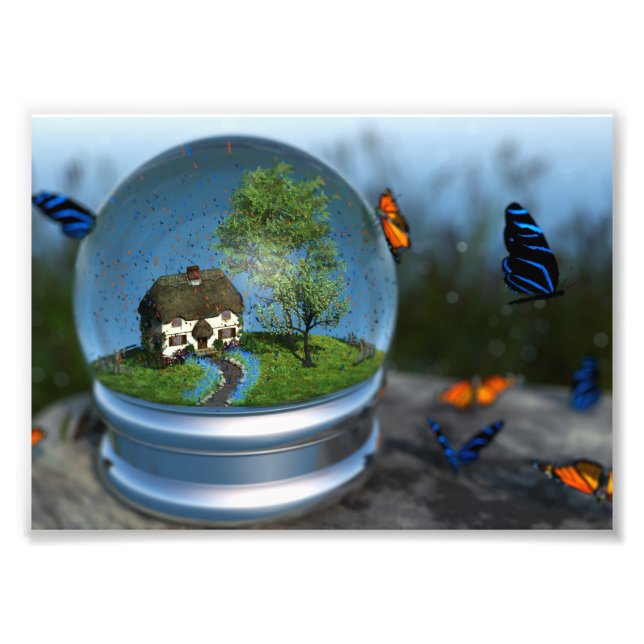 Foto Butterfly (Vorne)