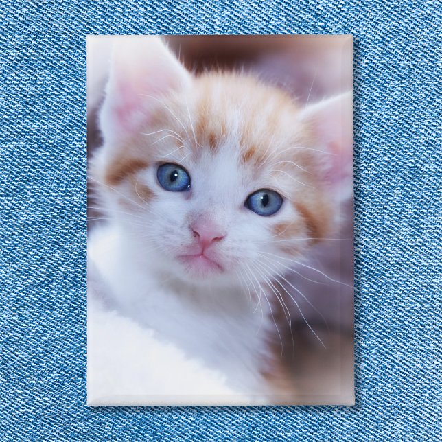 Foto Button (Family Cat Vertical Portrait Photo Button)