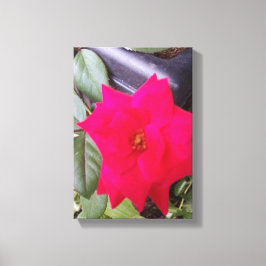 Foto Canvass Art Leinwanddruck